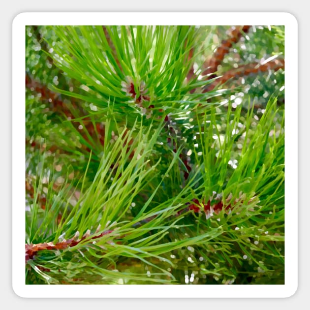 Pinyon Pine Needles Sticker by DANAROPER